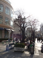 jiyugaoka216.jpg