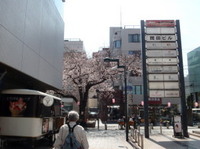 jiyugaoka223.jpg