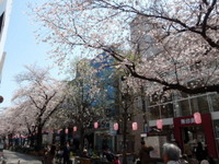 jiyugaoka224.jpg