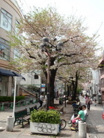 jiyugaoka230.jpg