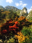 syosenkyo1.jpg