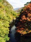 syosenkyo4.jpg